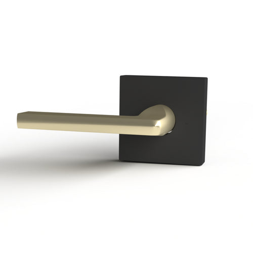 Chameleon Collection