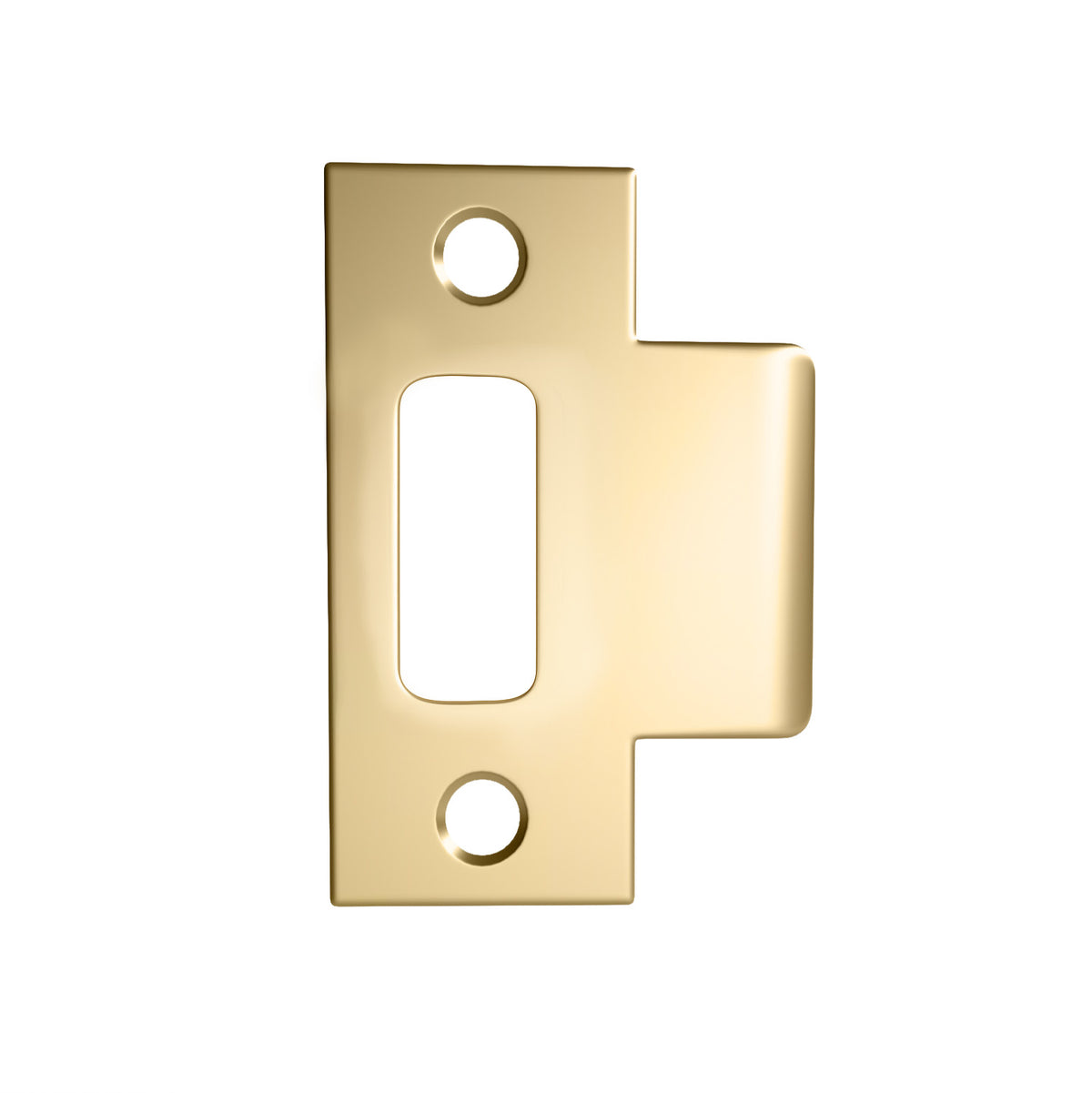 Strike Plate