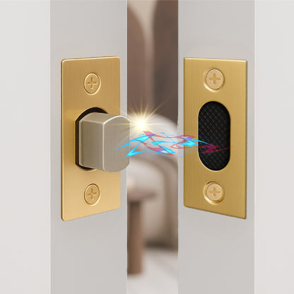 Magnetic Tubular Latch