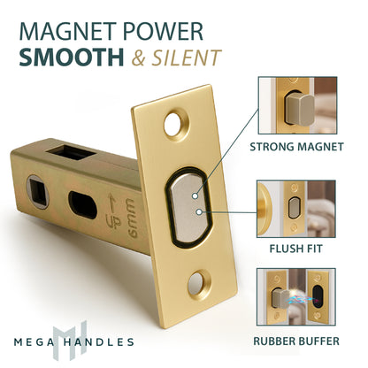 Magnetic Tubular Latch