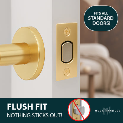 Magnetic Tubular Latch