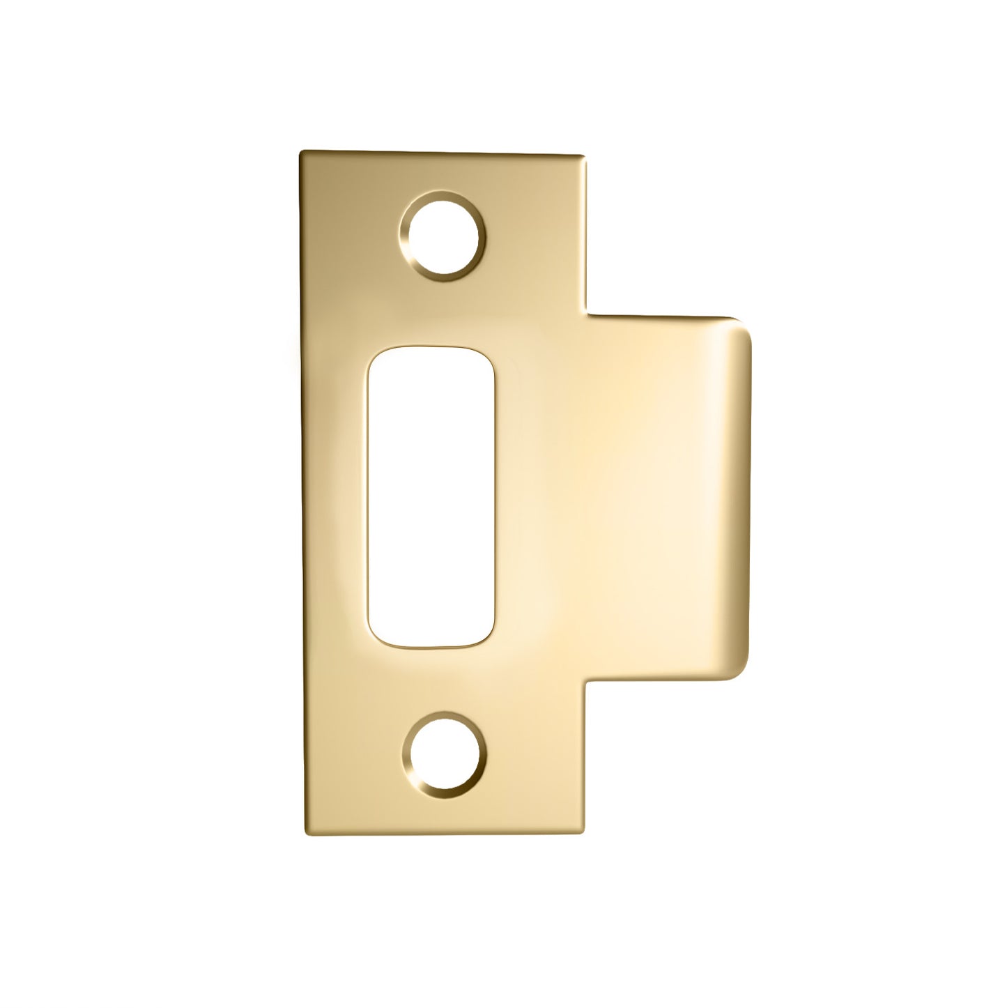 Strike Plate
